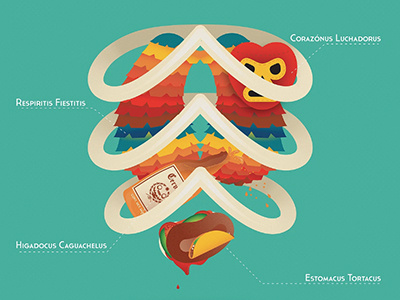 Anatomy of a Mexican (zoomed-in)