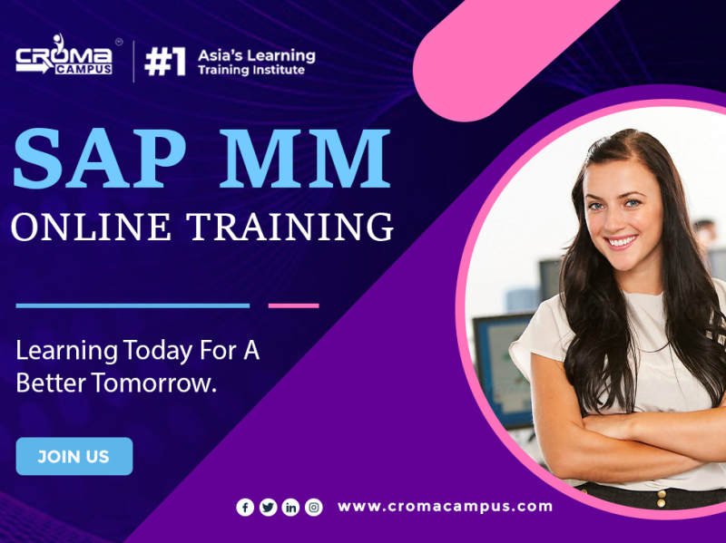 SAP MM Training in Gurgaon by Aayu on Dribbble