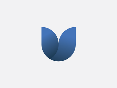 Proud to Introduce — Big Bay Co. agency brand identity branding identity logo mark