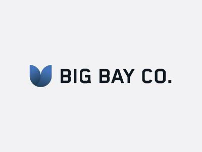 Big Bay Co. Full Lockup agency brand identity branding identity lockup logo mark