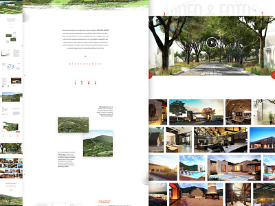 Cola de Lagarto brand brand design branding folklore mexican mexico web web design website