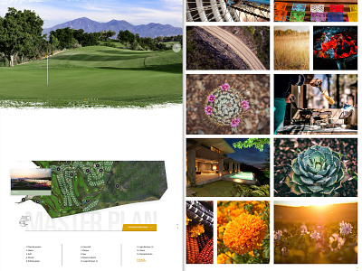 Cola de Lagarto atlixco color design folklore golf golf course houses indigenous mexico puebla residence residential ui ux web web design website