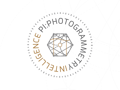 Pi: Photogrammetry Intelligence