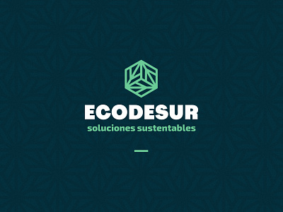 ECODESUR