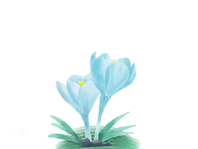 Blue Bulb Flower