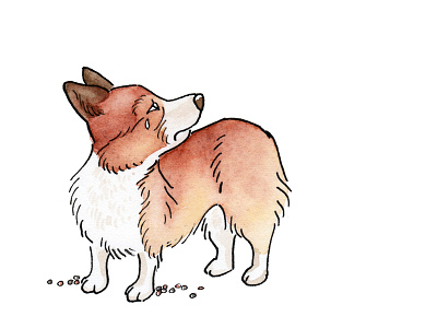 Sad Corgi childrens book corgi dog illustration kidlit watercolor