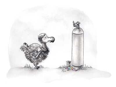 The Dodo dodo ink watercolor