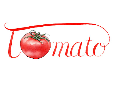 Tomato handlettering lettering stickermule tomato watercolor