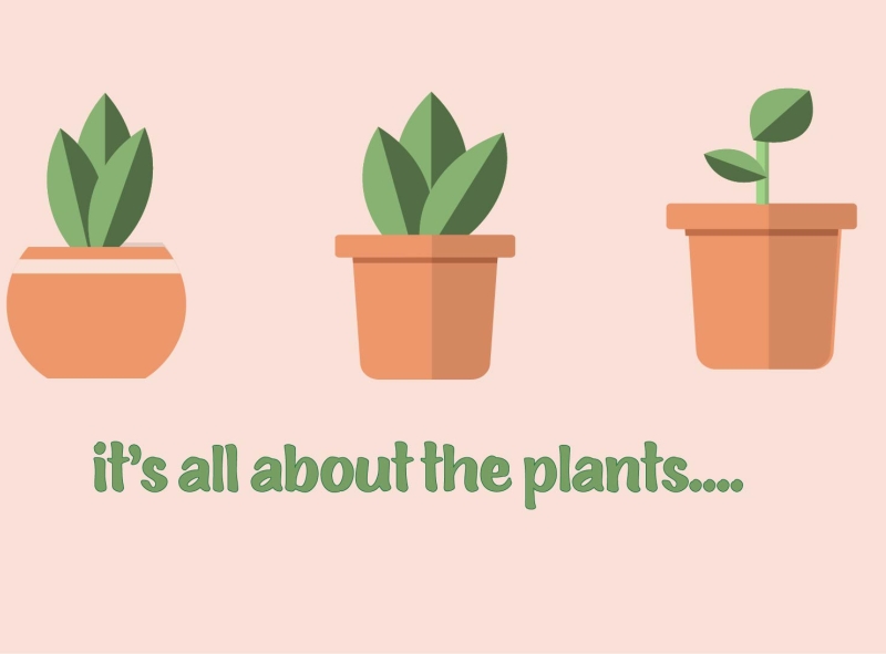 plants by Gal Ohana on Dribbble