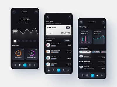 Financial Management App Interface