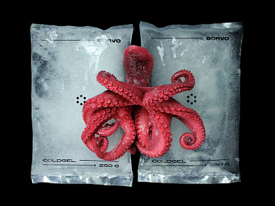 BORVO - Branding and Packaging branding design logo mexico sea squid