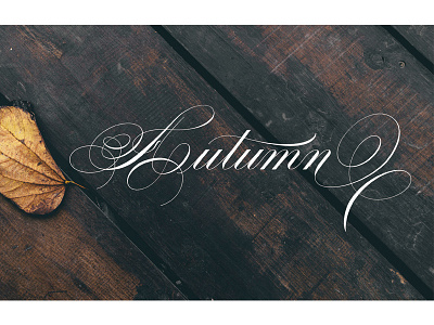 Autumn autumn calligraphy copperplate