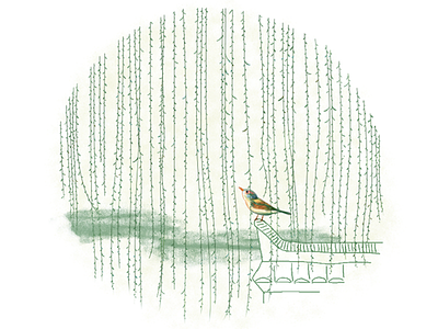 Spring asian bird china illustration 中国 鸟