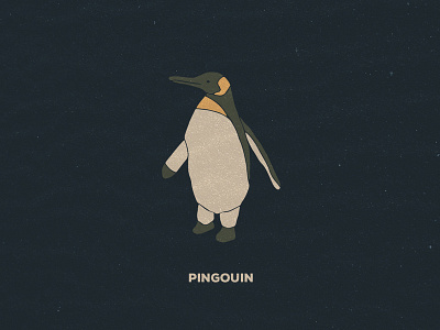 Pingouin hand draw illustration old school penguin pingouin
