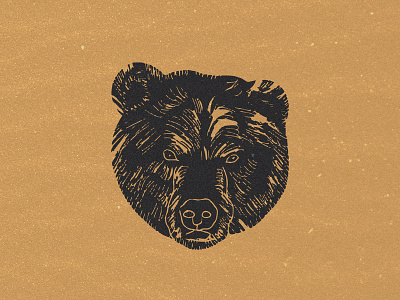 Ours bear hand draw illustration old school ours