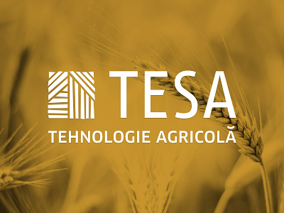 Tehnosad agriculture branding graphic design logo social media visual design