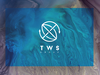 Logo for TWS Company branding communications electronics globe it it company logo software telecommunication