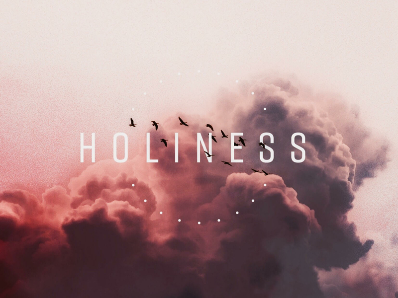 Holiness birds branding christian church conference coral design flock grain heaven holiness holy logo pink sky team ui vector web youth