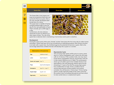 Beeopedia Types of Bees adobe adobexd app bees branding design desktop application graphic design icon minimal typography ui uidesign ux uxdesign web web design website yellow