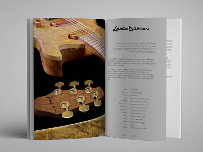 Photo and Text Design for Guitar Series animal animals catalogue copywriting design guitar guitars music photo photography photos studio text