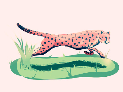 Cheetah animal art cat cheetah illustration illustrator nature print summer