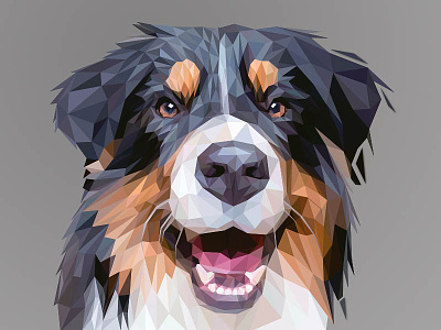 Bernese Mountain Dog | LowPoly Illustration animal cute dog geometric illustration lowpoly lowpolygon modern polygon sketch smile triangle