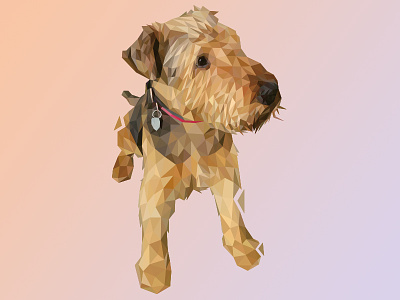 Airdale Terrier Dog | LowPoly Illustration airdale animal dog dogs hund illustration lowpoly modern pet polygon terrier triangle