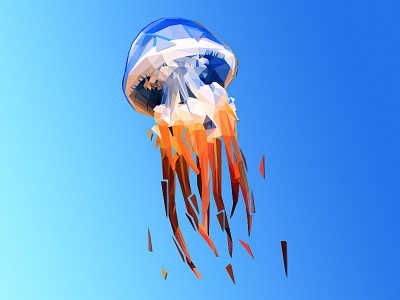 Jellyfish | LowPoly Illustration animal geometric illustration jellyfish lowpoly qualle seaanimal shark technical triangle vector