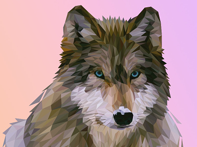 Wolf | LowPoly Illustration animal face geometric illustration lowpoly nature polygon technical triangle vector wild wolf