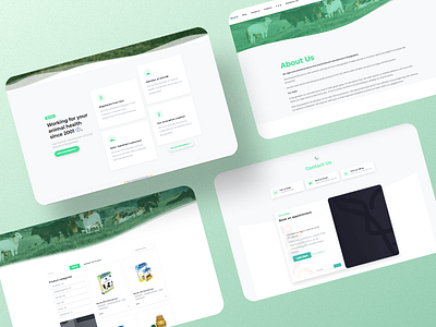 Animal Medicine - Minimal Website UI design. animal branding design green green color design minimal minimal website ui ui design ux web web design web ui website website design