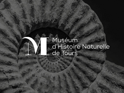 Muséum d'Histoire Naturelle de Tours branding graphic design logo museum