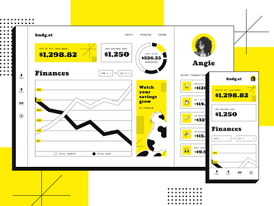 Budgeting Dashboard