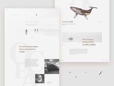 Ocean - landing page concept design desktop landing page layout typography ui ux web website
