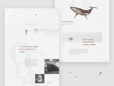 Ocean - landing page