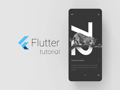 SY Expedition - Flutter tutorial animation app concept flutter layout minimal mobile ui ux
