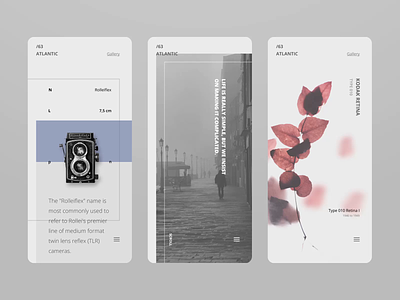 Atlantic - scrolling animation animation app concept design layout minimal mobile motion scroll typography ui ux