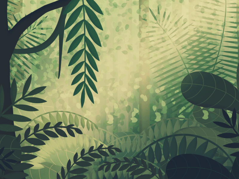 Amazon jungle by Cornelia Ryås on Dribbble