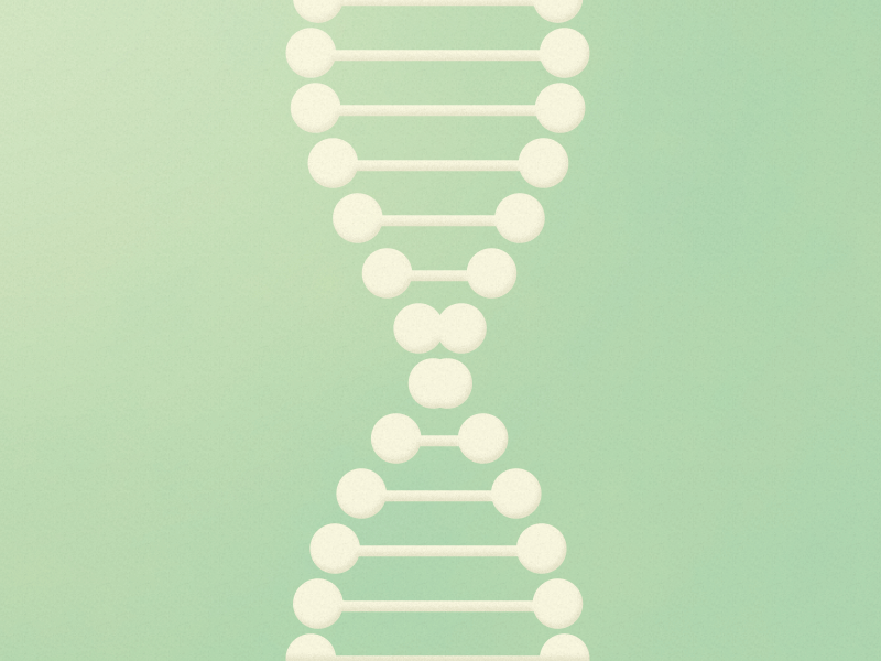 DNA 15minmograph 2d 2d animation ae after effects animated gif dna gif loop