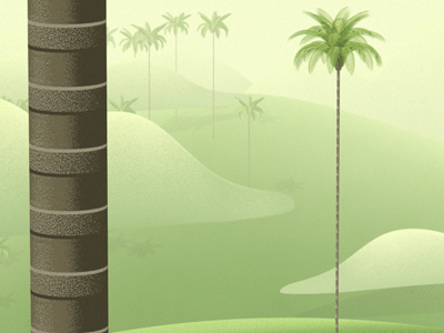 Valle de Cocora 3d after effects animation cinema4d colombia gif loop motion design nature salento travel waxpalm
