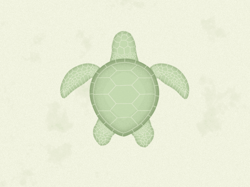 Tortuga 2d ae animals animation gif loop mograph motion graphics sea turtle swimming