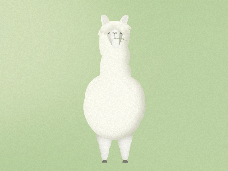 Alpaca 2d after effects animal animation chewing ecuador gif loop motion design travel