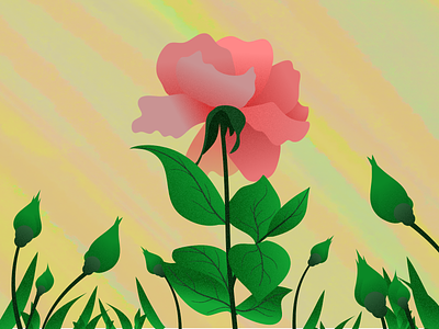 Vector illustration of rose