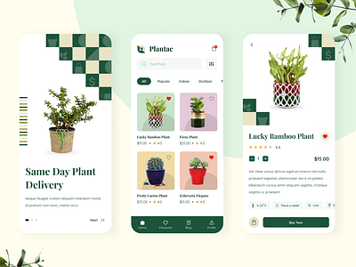 Plantae mobile ui agriculture animation app branding design greenary holiday icon illustration logo mountain nature plant plant app tree ui ux vacation vector