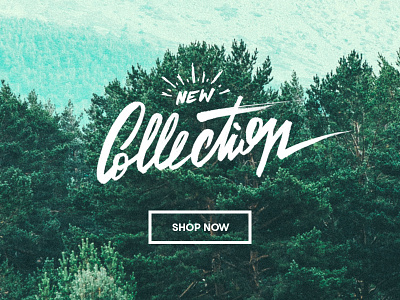 New Collection brushpen handmadelettering landscape lettering logo logotype mountains saulgrobles
