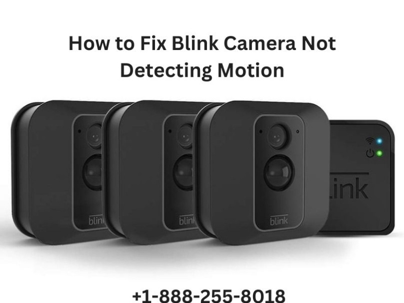 How to Fix Blink Camera Not Detecting Motion by Jacob Martin on Dribbble