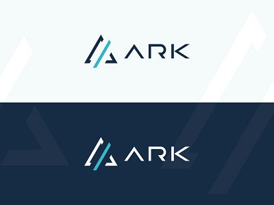 Ark The Logo ark branding build code design development logo pyramid studio