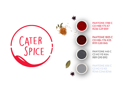 Cater Spice: Pantone branding cater delivery food logo online catering spice