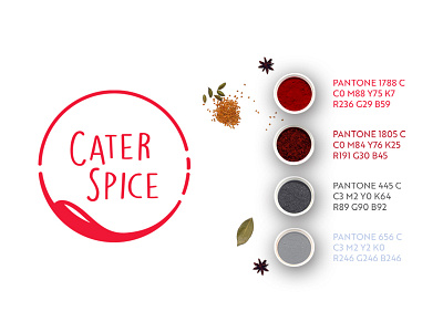 Cater Spice: Pantone