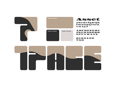 7pace branding graphic design logo