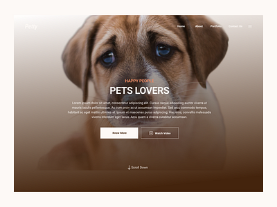 A pet home landing page app design egypt ui femle designer landingpage pet product design ui designer uidesign uiux